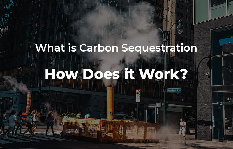 What is carbon sequestration